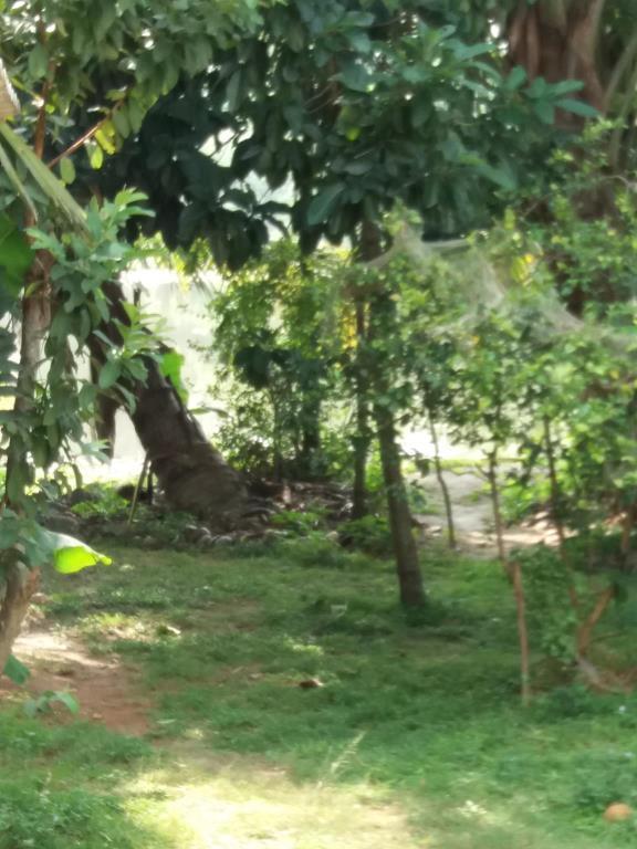 טנגלה Ishitha Homestay מראה חיצוני תמונה